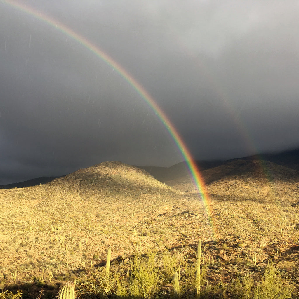 Raw Inspiration: Buying Gems in Tucson